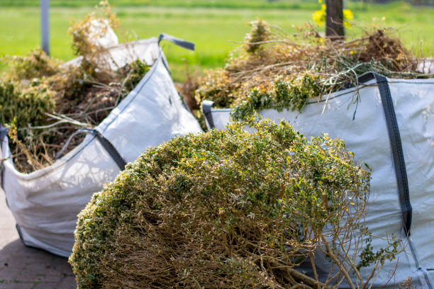 Best Same-Day Junk Removal  in Warner, OK